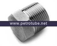 Monel Pipe Plug exporter